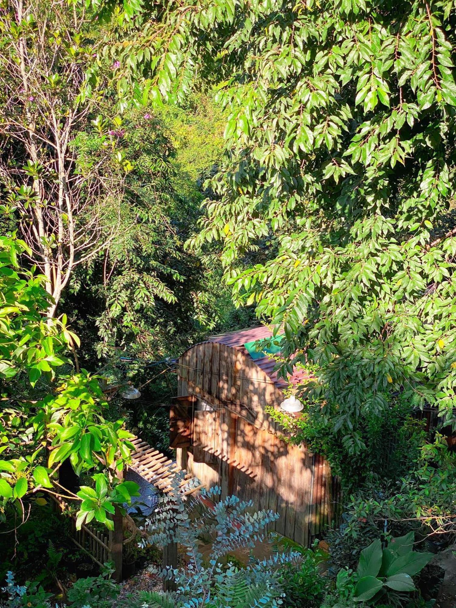 Dalat Memories Homestay - Pho Suong Mo Νταλάτ Εξωτερικό φωτογραφία