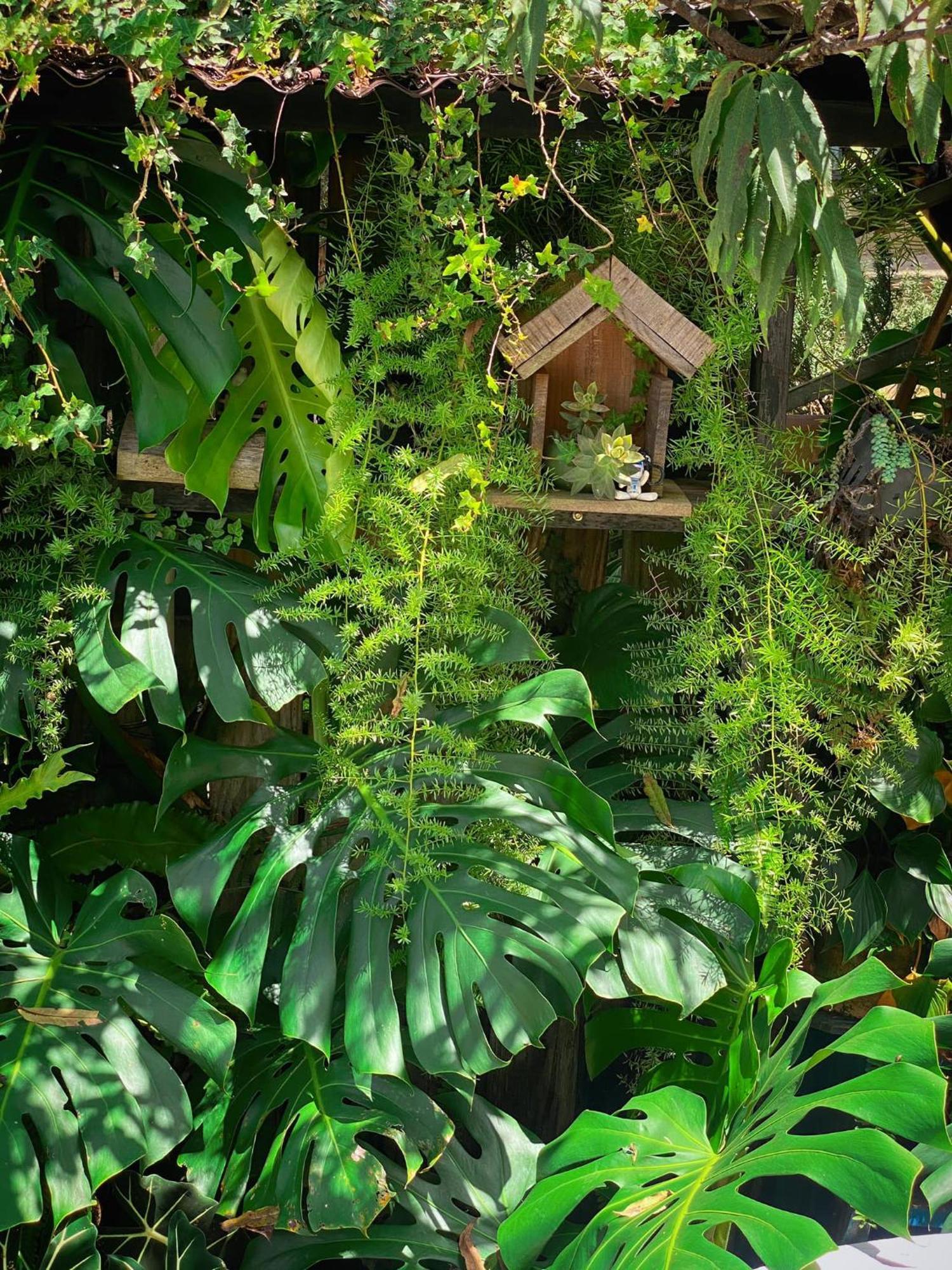 Dalat Memories Homestay - Pho Suong Mo Νταλάτ Εξωτερικό φωτογραφία