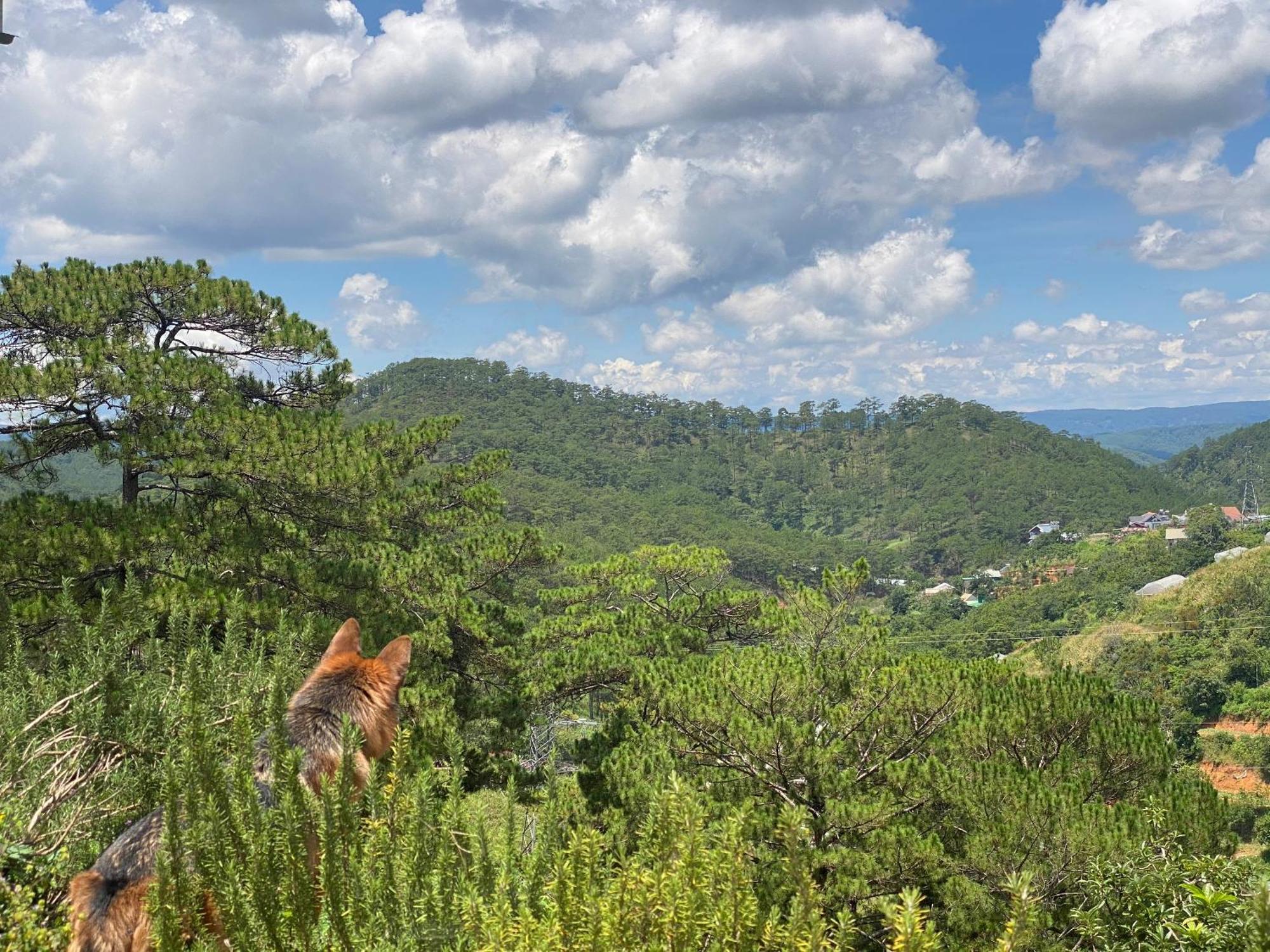 Dalat Memories Homestay - Pho Suong Mo Νταλάτ Εξωτερικό φωτογραφία