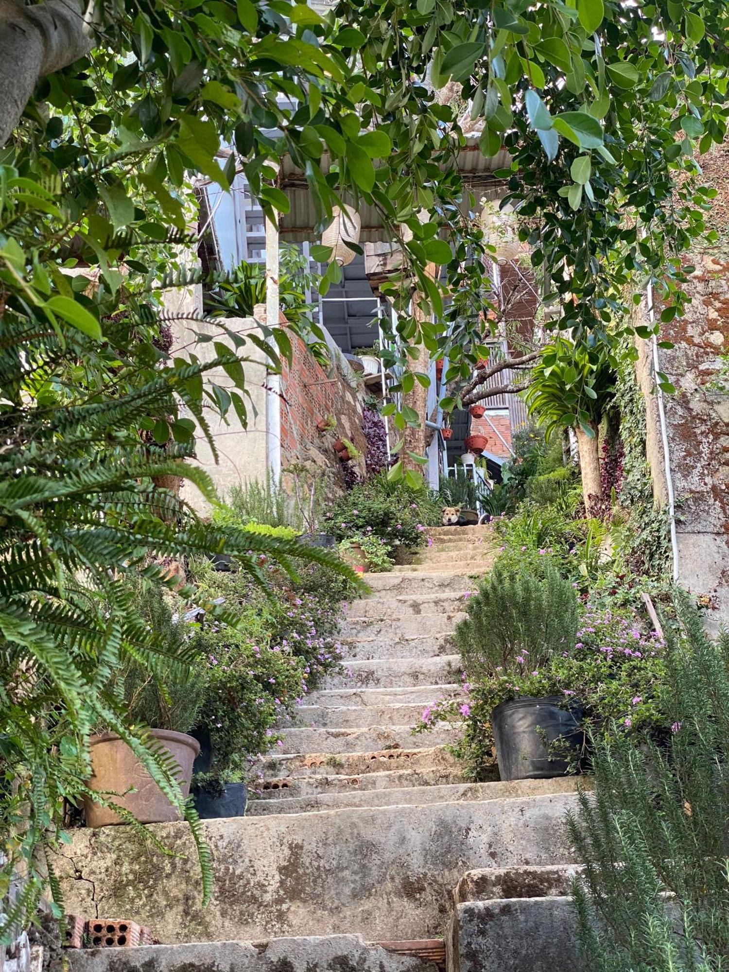 Dalat Memories Homestay - Pho Suong Mo Νταλάτ Εξωτερικό φωτογραφία