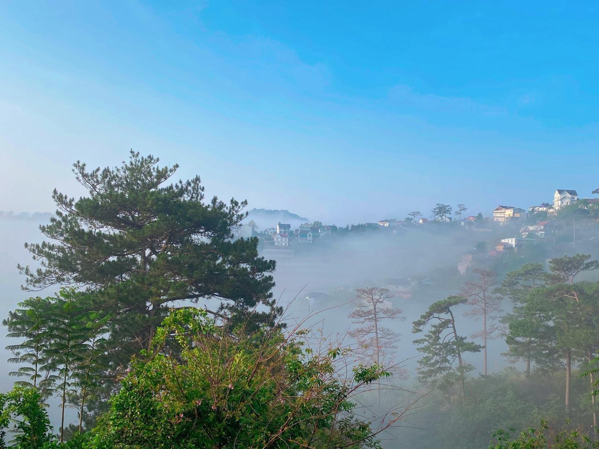 Dalat Memories Homestay - Pho Suong Mo Νταλάτ Εξωτερικό φωτογραφία
