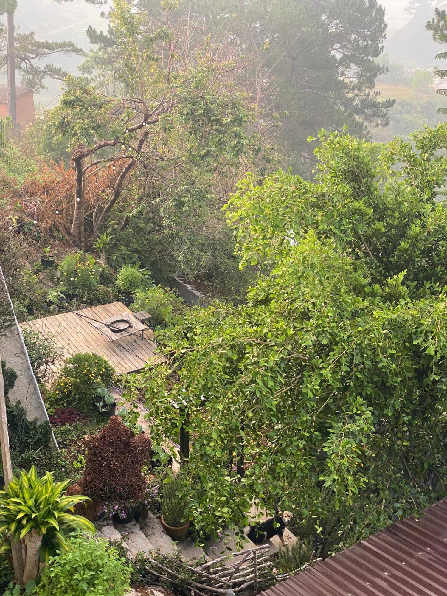 Dalat Memories Homestay - Pho Suong Mo Νταλάτ Εξωτερικό φωτογραφία