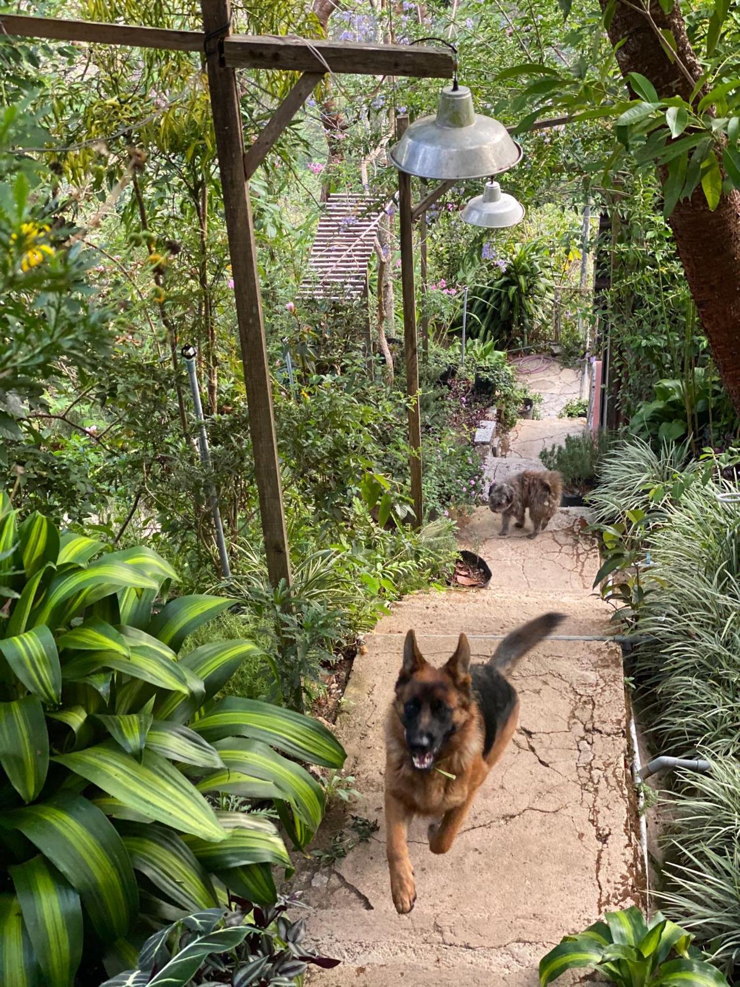 Dalat Memories Homestay - Pho Suong Mo Νταλάτ Εξωτερικό φωτογραφία