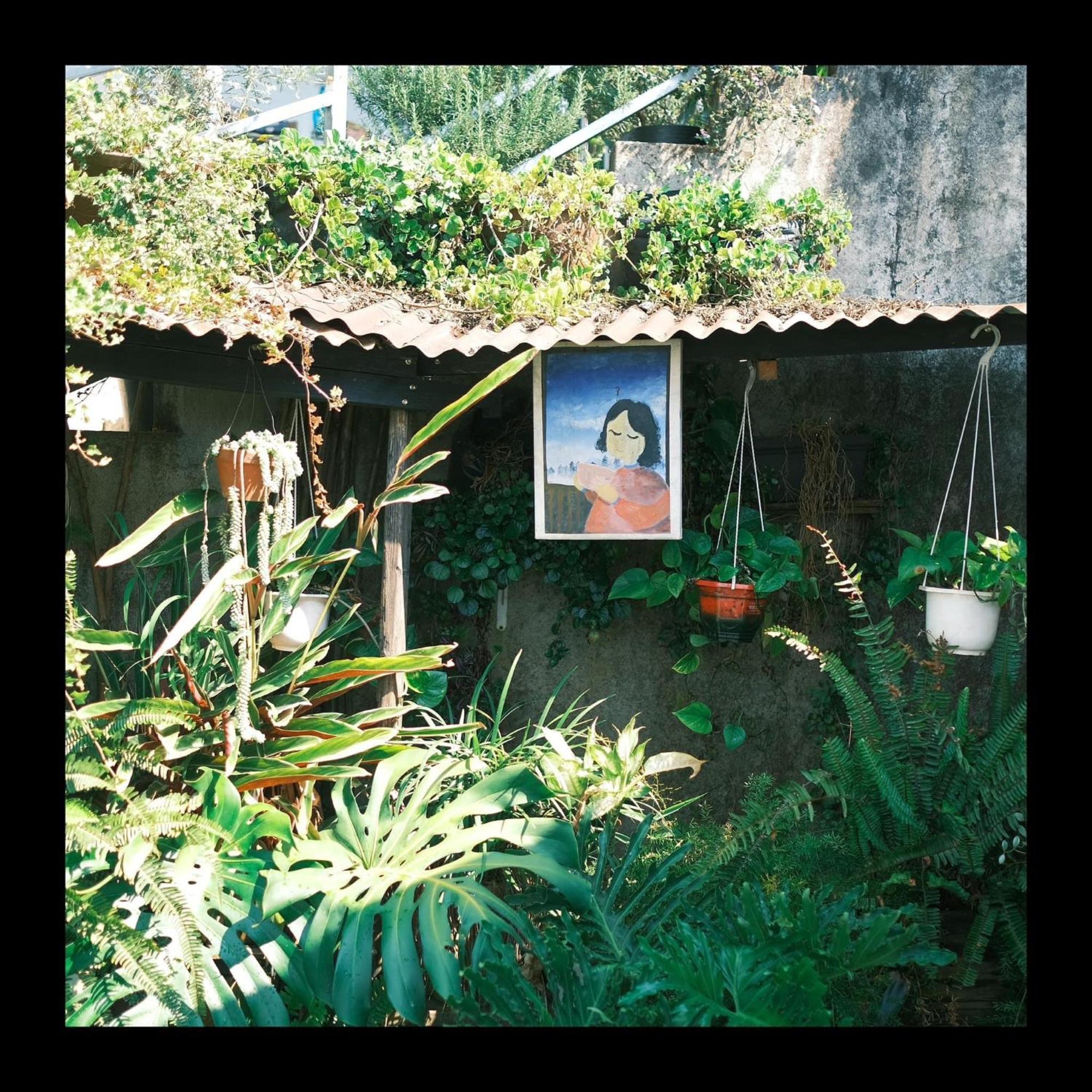 Dalat Memories Homestay - Pho Suong Mo Νταλάτ Εξωτερικό φωτογραφία