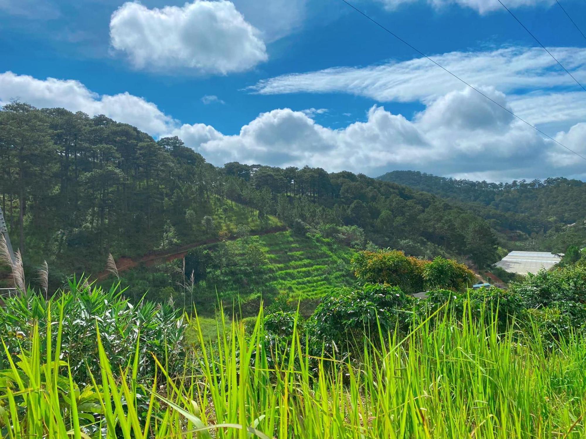 Dalat Memories Homestay - Pho Suong Mo Νταλάτ Εξωτερικό φωτογραφία